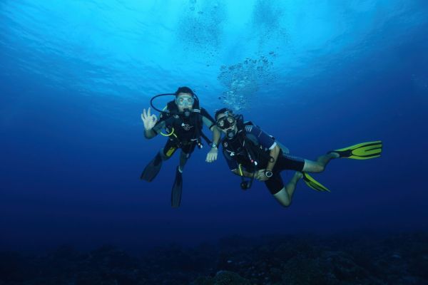 Où pratiquer l'apnée dans les eaux claires de la mer des Caraïbes au Belize ?