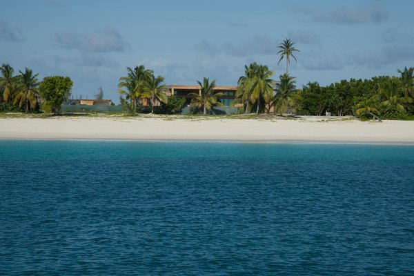 Quelles sont les astuces pour une expérience de plongée nocturne avec les méduses bioluminescentes en Palau ?