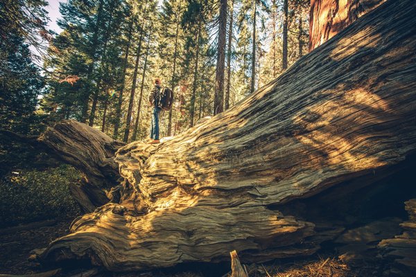 Comment découvrir les grottes secrètes de la Crète ?